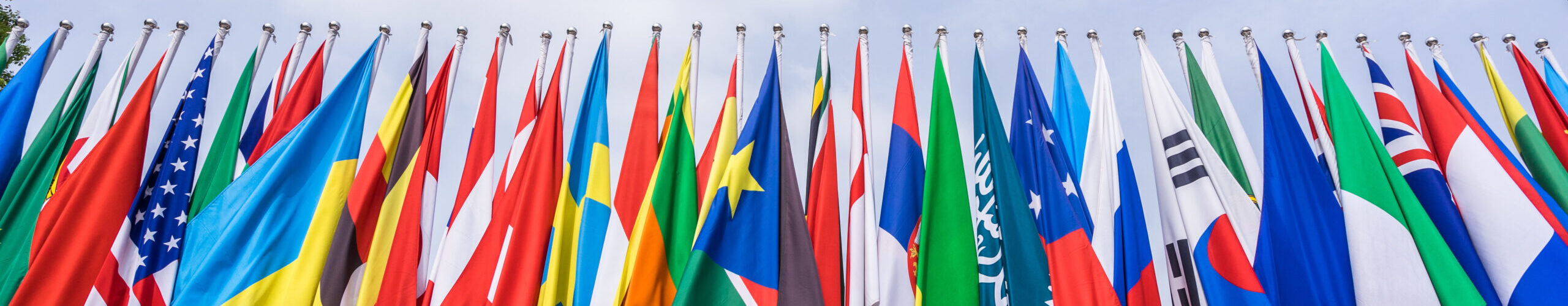 flags of the world