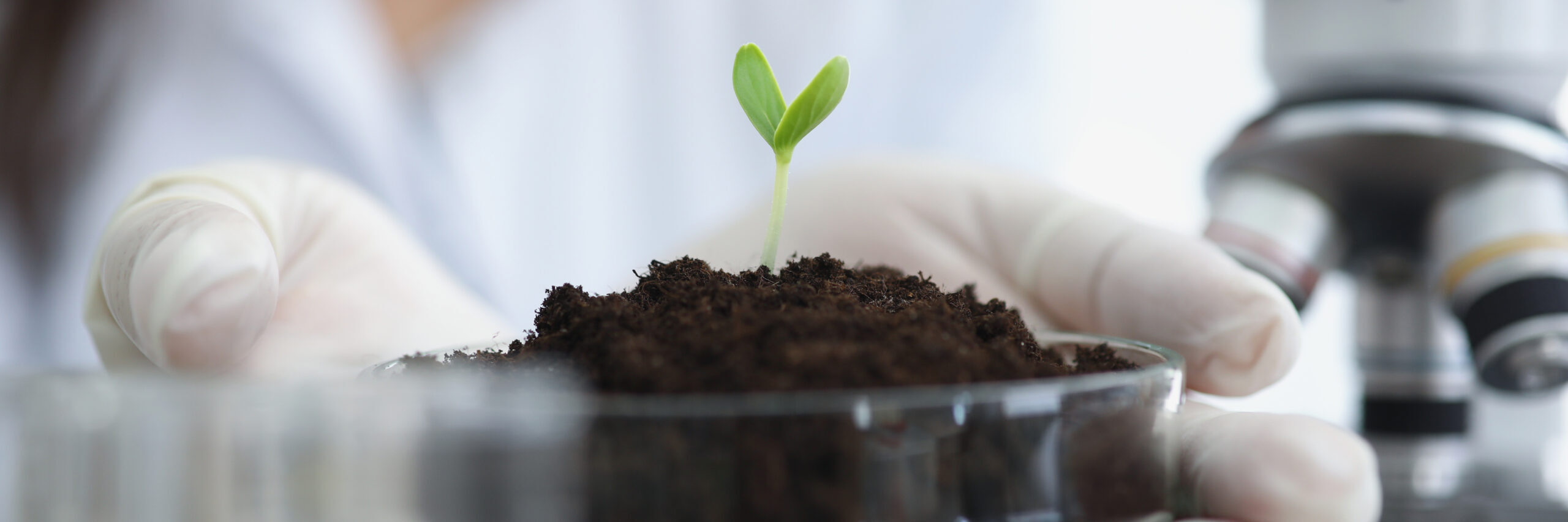 percorsi scienze agrarie percorsi scienze agrarie